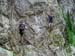 Aletsch_29