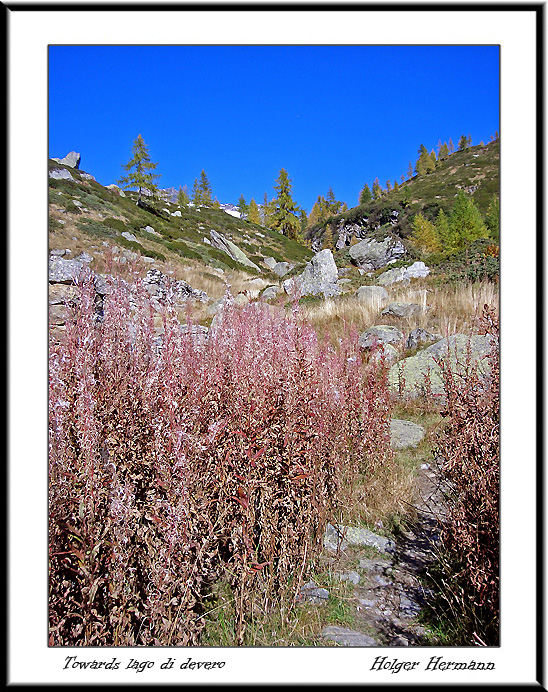 Alpe Devero_18