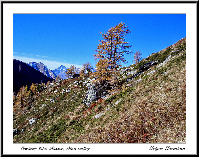 Alpe Devero_45