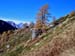 Alpe Devero_45