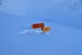 Alpe_Devero-Binn_Valley_42
