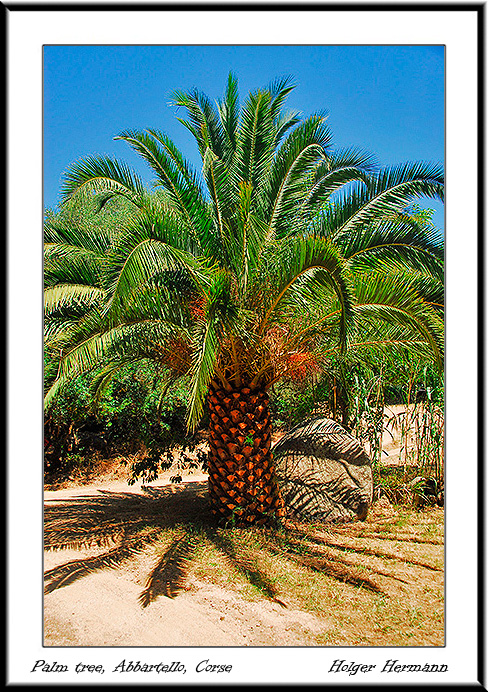 Corse_038