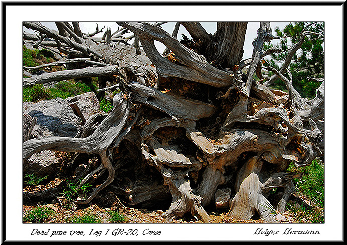 Corse_North_007