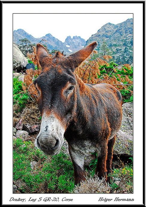 Corse_North_050