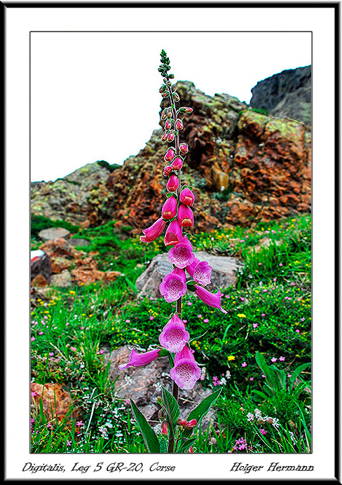 Corse_North_053