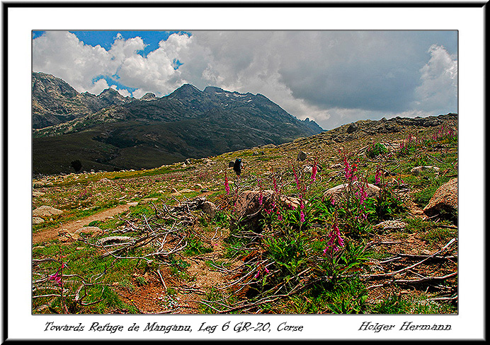 Corse_North_069