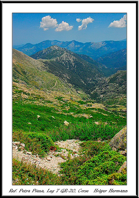 Corse_North_082