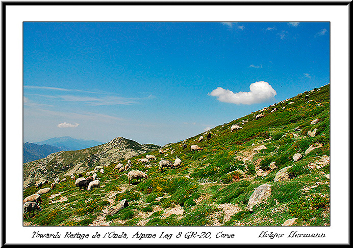 Corse_North_085