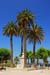 Corse_019