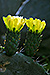 Corse_036