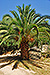 Corse_038