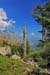 Corse_North_033