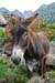 Corse_North_050