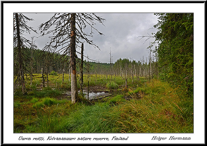 Finnland_004