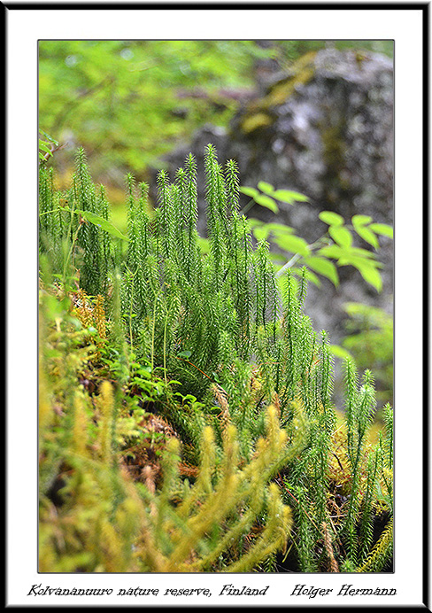 Finnland_008