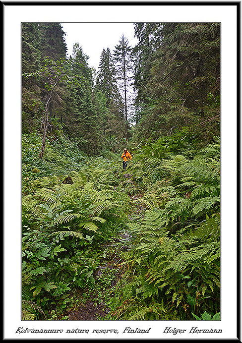 Finnland_010
