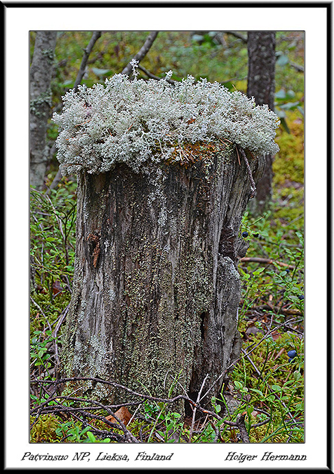 Finnland_014