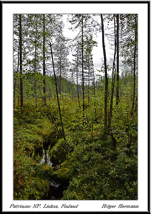 Finnland_016