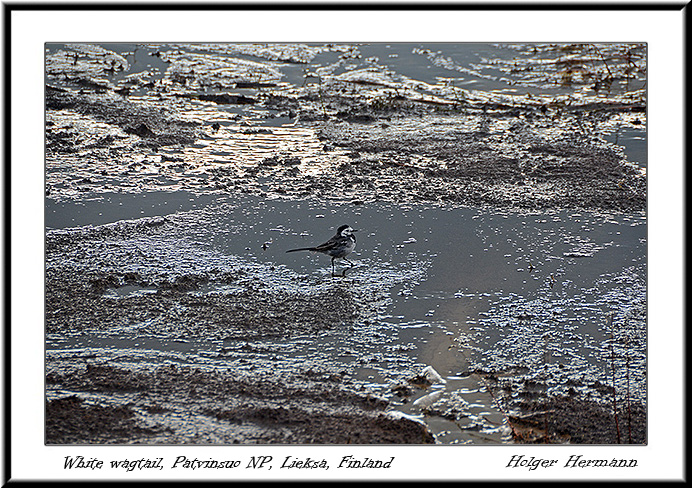 Finnland_017