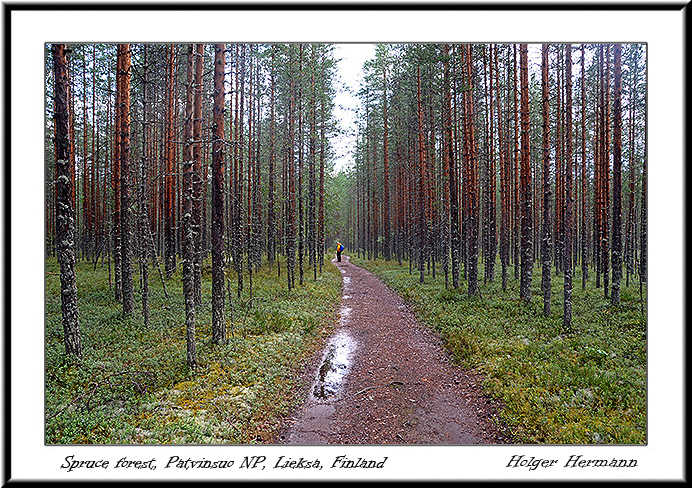 Finnland_019