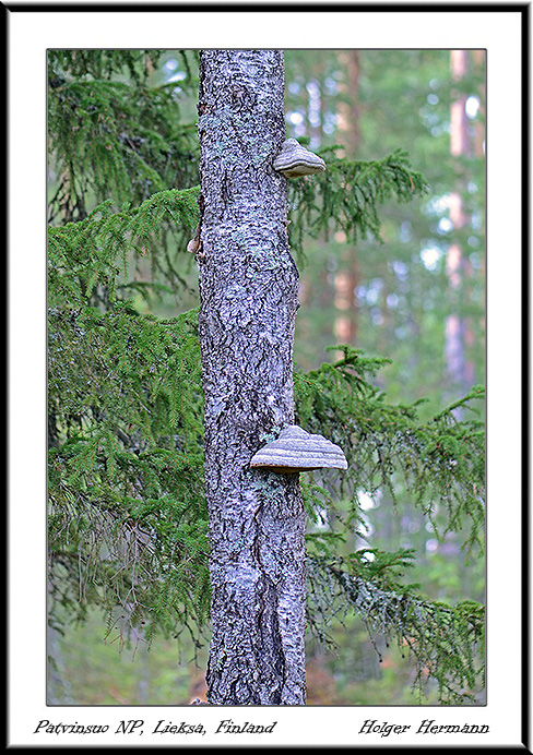 Finnland_024
