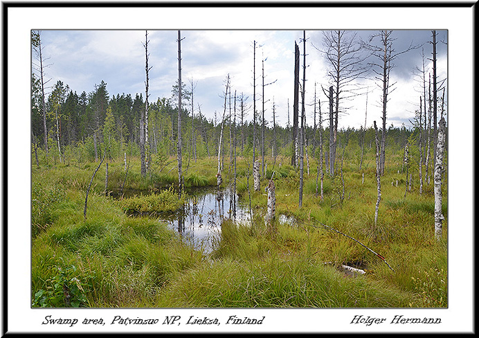 Finnland_026