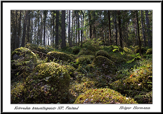 Punkaharju_018