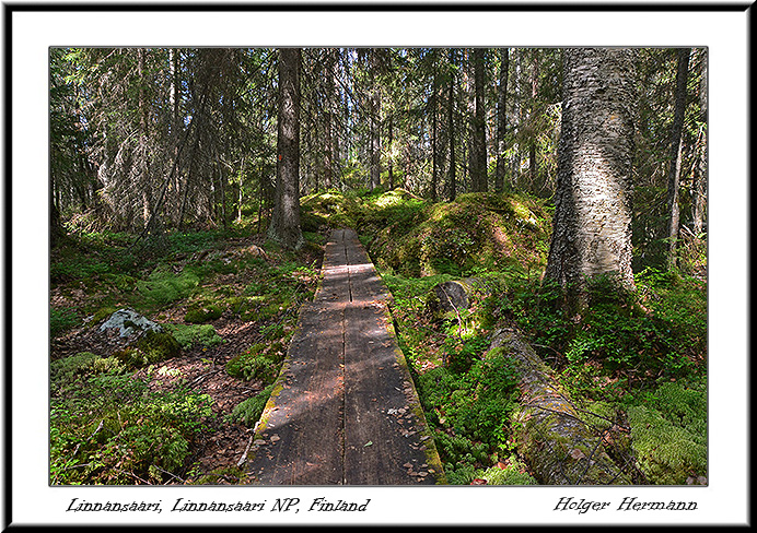 Punkaharju_043