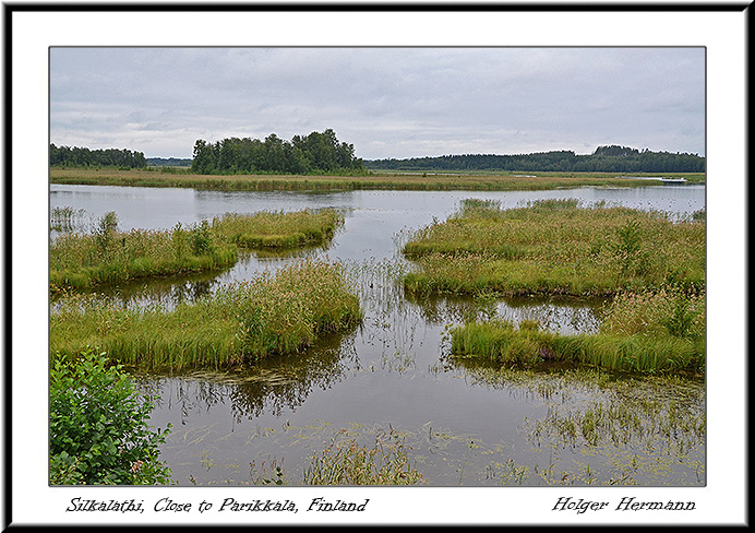 Punkaharju_057