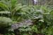 Finnland_007