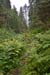Finnland_010