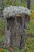 Finnland_014