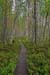 Finnland_015