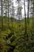 Finnland_016