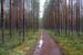 Finnland_019