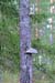 Finnland_024