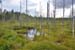 Finnland_026
