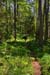 Punkaharju_033