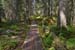 Punkaharju_043