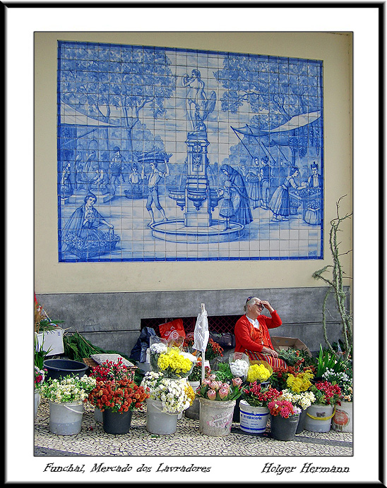 Madeira_033