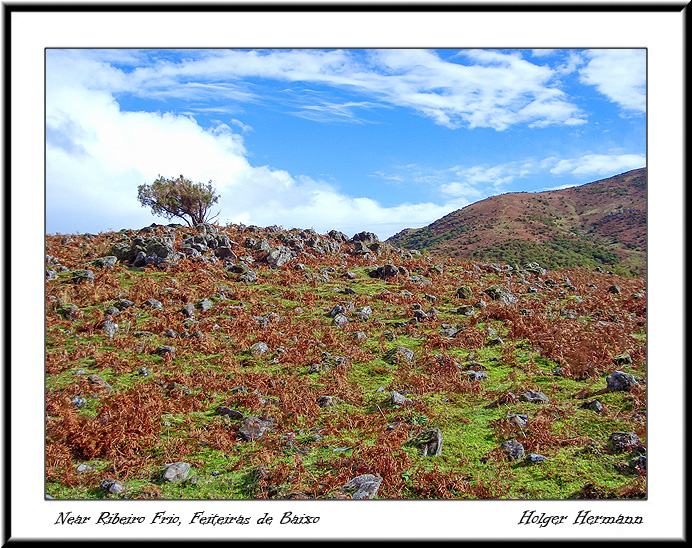 Madeira_065