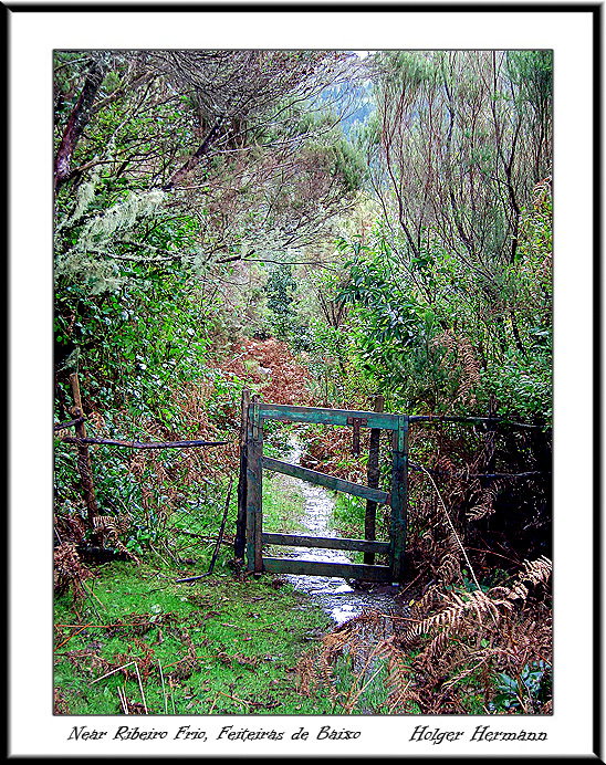Madeira_066