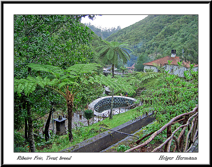 Madeira_067