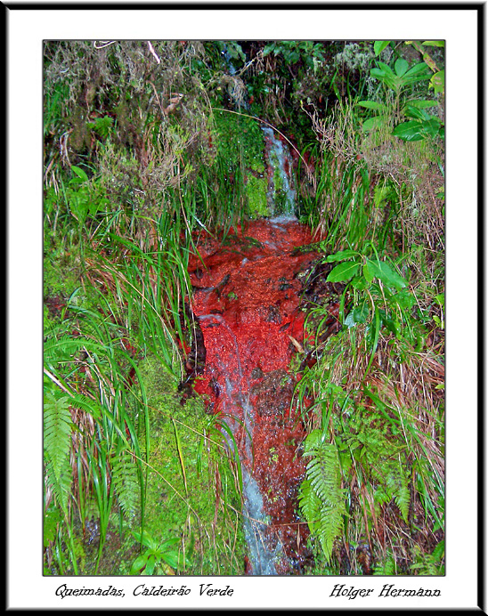 Madeira_092