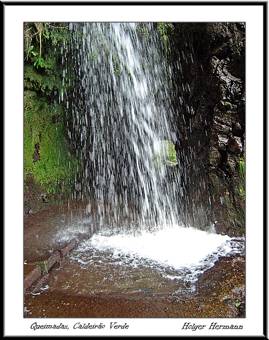 Madeira_100
