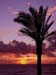 Madeira_050