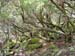 Madeira_060
