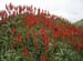 Madeira_078