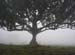 Madeira_082