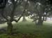 Madeira_083